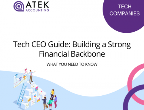 The Tech CEO’s Guide to Building a Strong Financial Backbone