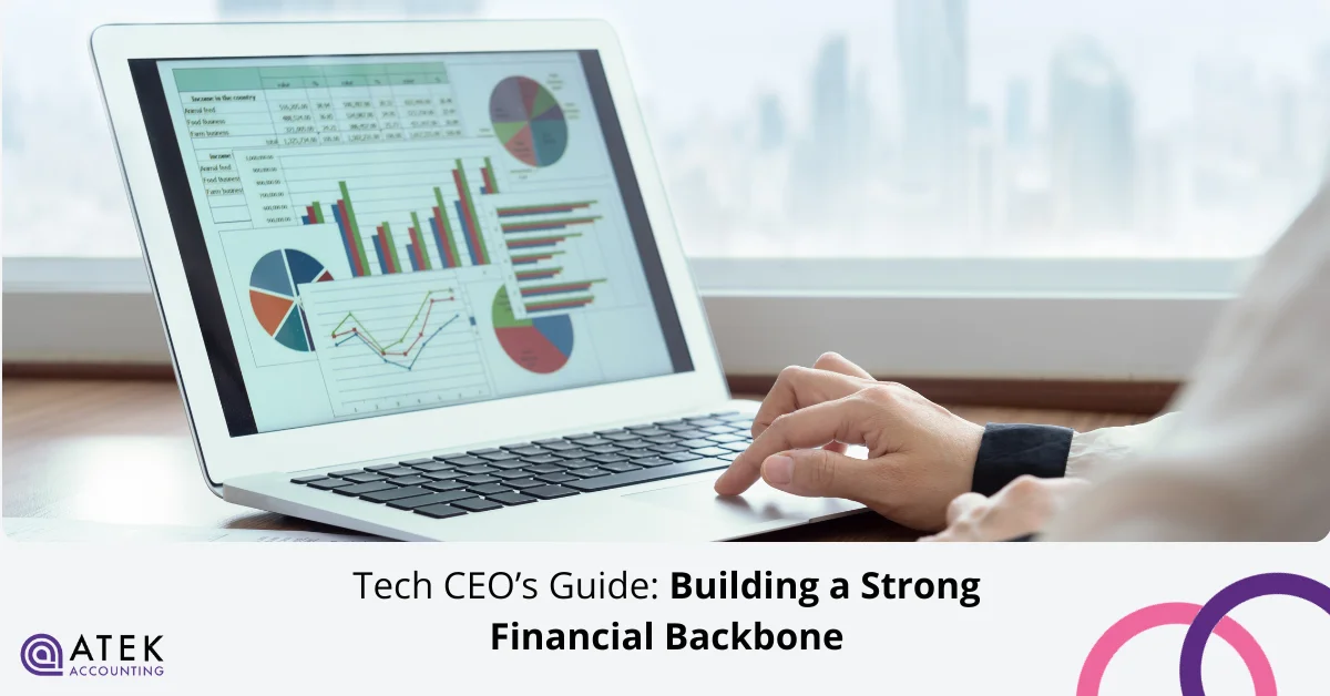 The Tech CEO’s Guide to Building a Strong Financial Backbone | Atek Accounting